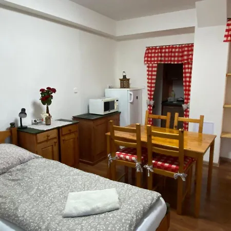 Apartment Rybnik *