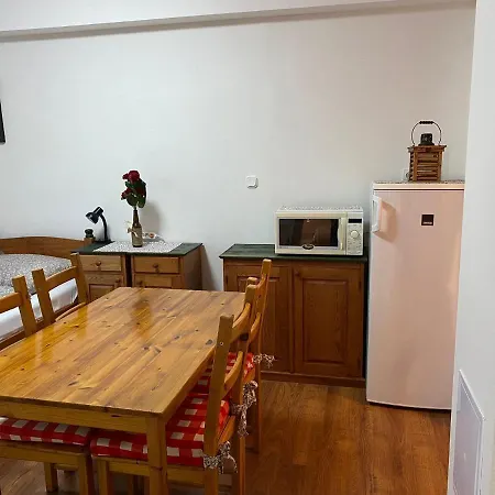 Rybnik Apartment *