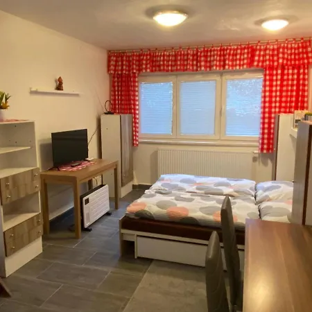 Rybnik Apartment