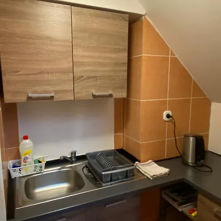 Appartement Rybnik *